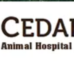 Cedar Ridge Animal Hospital - Untitled