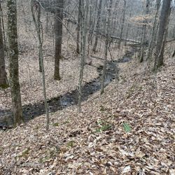 Friends of Steele Creek Nature Center and Park