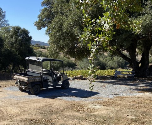 Element 79 Vineyards and Winery by null