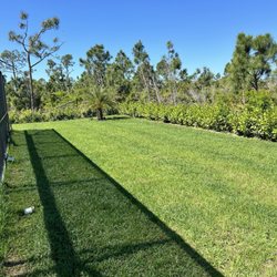 DW Lawn Care
