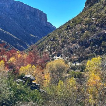 Sabino Canyon - Parks Near Me - Tucson, Arizona Sabino Canyon - Parks Near Me - Tucson, Arizona