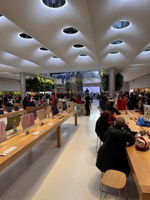 Apple Fifth Avenue by null