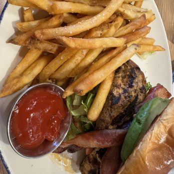 Tangled Roots Craft Beer & Kitchen - Chicken club - Breweries Near Me - South Barrington, Illinois Tangled Roots Craft Beer & Kitchen - Chicken club - Breweries Near Me - South Barrington, Illinois