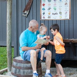 Renfro Valley KOA Holiday