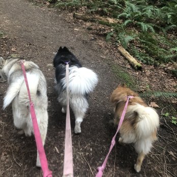 Fort Steilacoom Park - Dog Parks Near Me - Lakewood, Washington Fort Steilacoom Park - Dog Parks Near Me - Lakewood, Washington
