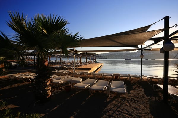 Special Class Hotel in Costa Farilya by null