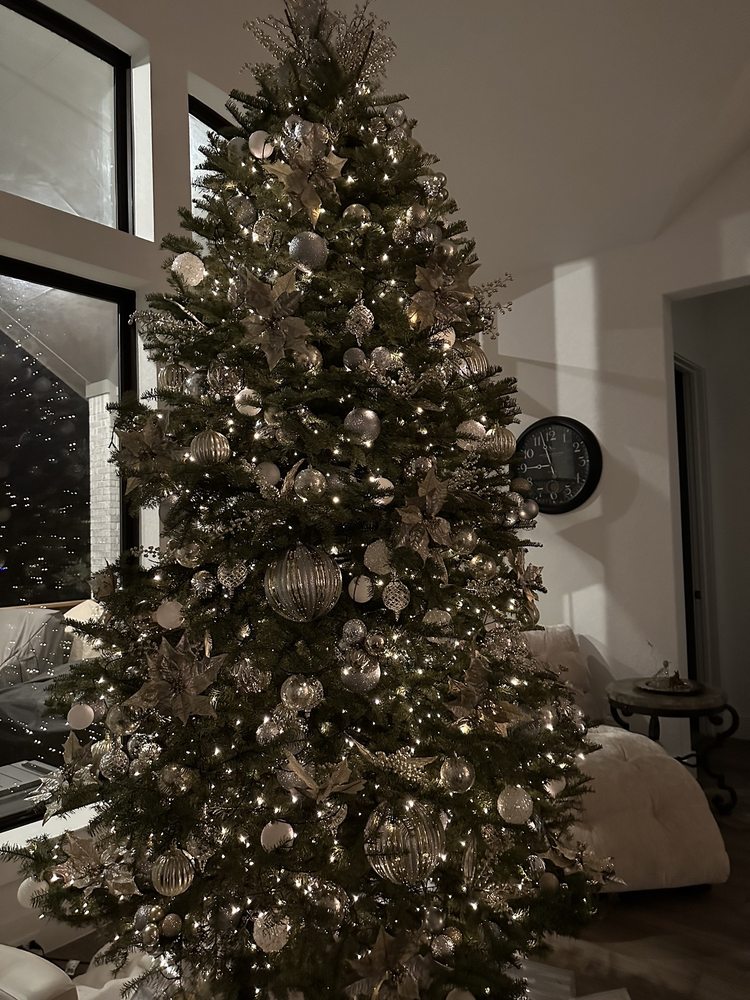 Mission City Arbor Group - tree service in San Antonio, TX