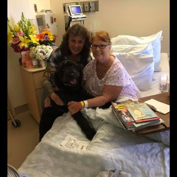 K9 an me - Therapy dogs rule - Pet Training Near Me K9 an me - Therapy dogs rule - Pet Training Near Me