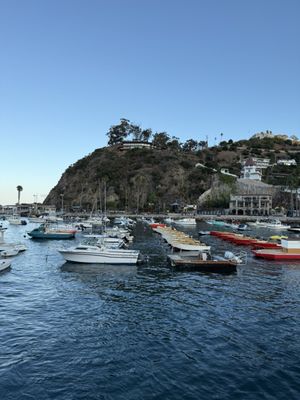 Catalina Express by null