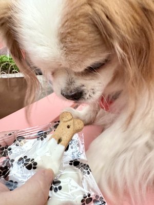 Solvang Bakery by null