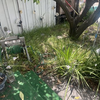 Lopez Lawn Care - Backyard before - Lawn Services Near Me