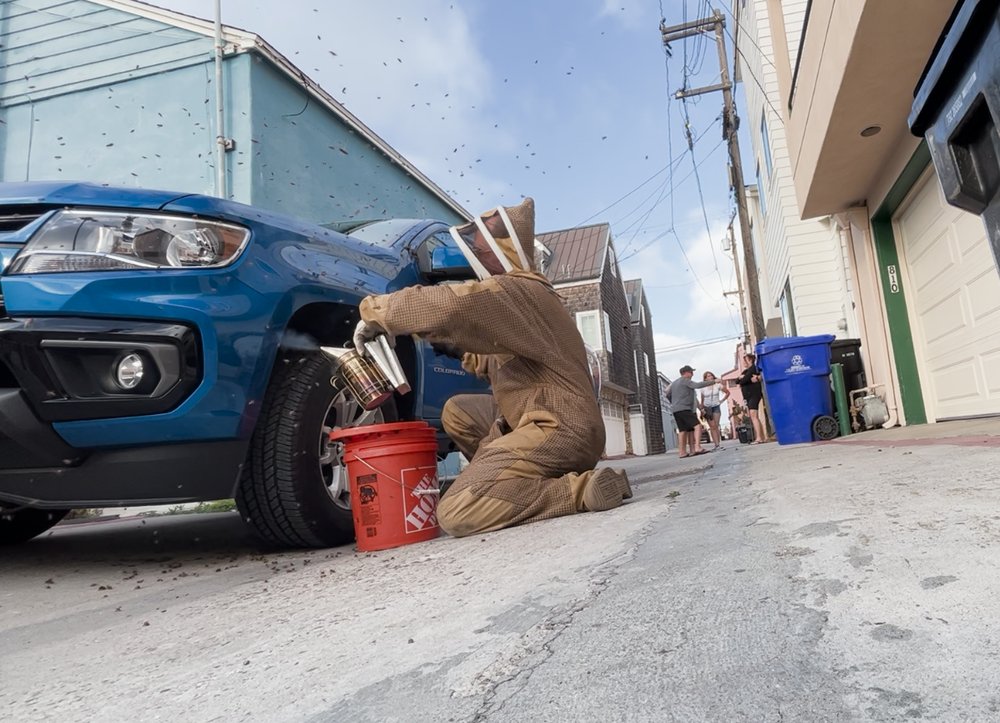 Save the Bees San Diego - beekeeping in Valley Center, CA