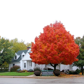 Anderes Pfeifley Funeral Home Request Information Funeral Services Cemeteries 303 S Broadway St Riley Ks Phone Number Yelp