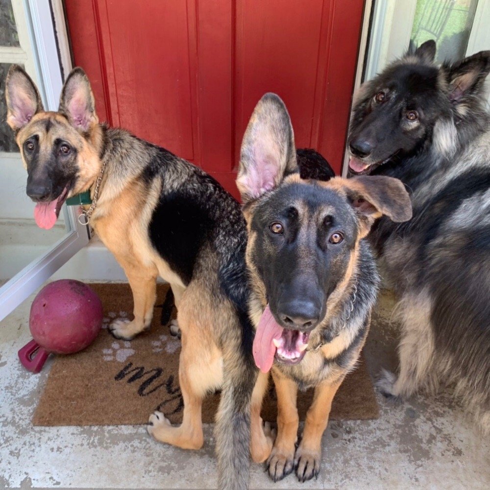 Slide of Mike Jones Plumbing