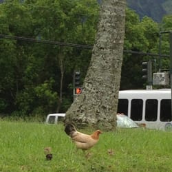 Maunawili Neighborhood Park