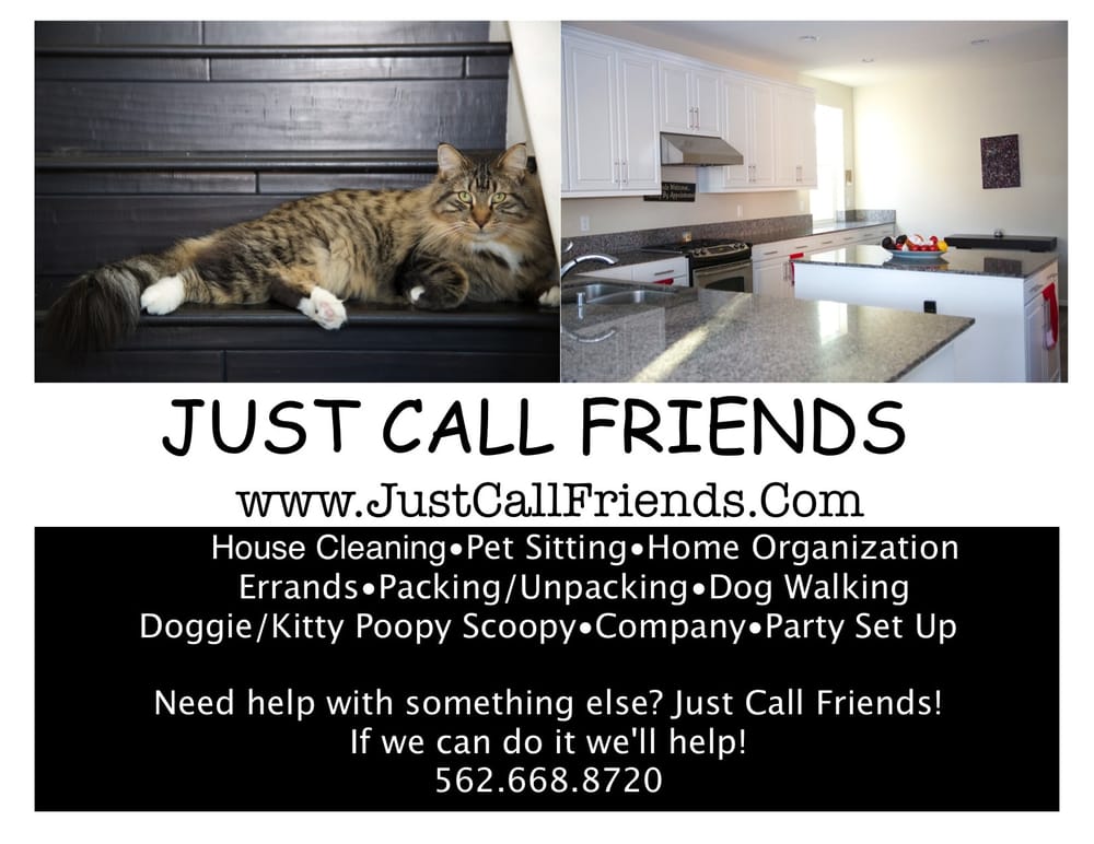 Slide of Just Call Friends