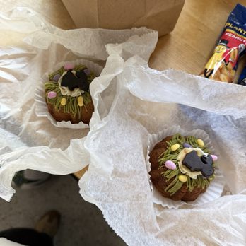 Drooly's Dog Bakery - easter bundt cake - Pet Stores Near Me - Bentonville, Arkansas Drooly's Dog Bakery - easter bundt cake - Pet Stores Near Me - Bentonville, Arkansas