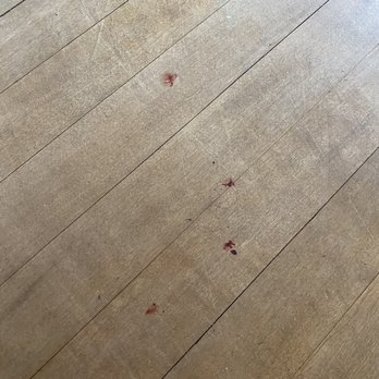 Precious Paws - Blood on floor throughout house - Pet Groomers Near Me - Oshkosh, Wisconsin