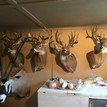 JR's Taxidermy - Taxidermy Near Me - Keller, Texas