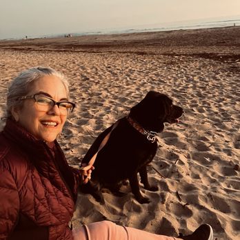Teddy's By The Sea - NYE 2024 Carpinteria State Beach - Seafood Near Me - Carpinteria, California Teddy's By The Sea - NYE 2024 Carpinteria State Beach - Seafood Near Me - Carpinteria, California