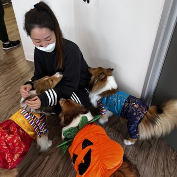 Prime Orthodontics - Our patient and doggies are exchanging love. - Orthodontists Near Me - Carrollton, Texas