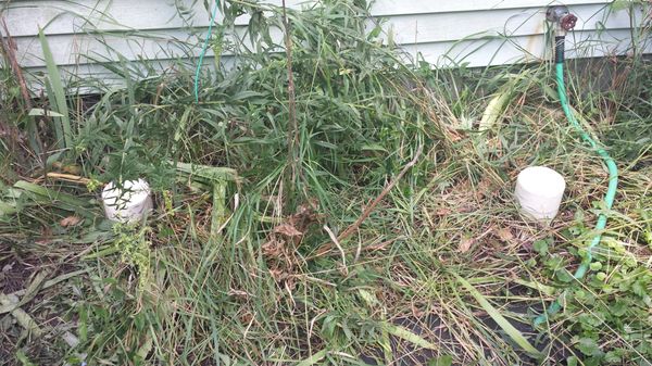 Hamende Sewer Cleaning & Repair