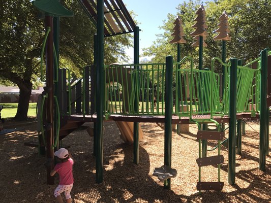 Steve Carli Park by null