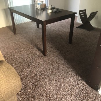 Carpet Monkey - Also was a small brown dog poop stain rift be the dining room leg on the left- gone - Carpet Cleaning Near Me