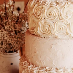 Ahimsa Custom Cakes - 10.17.15 Kayla and Jaynee