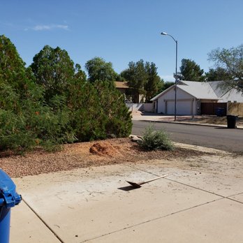 Arbor Care Tree Service - Clean, ground up and gone - Tree Services Near Me Arbor Care Tree Service - Clean, ground up and gone - Tree Services Near Me