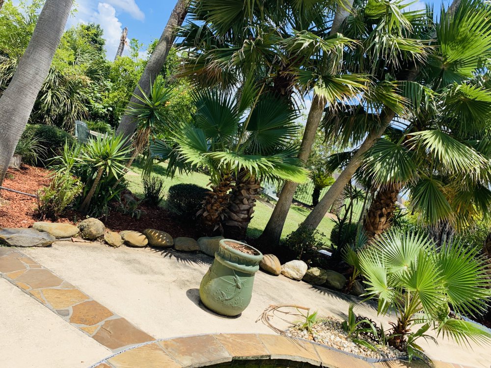 Slide of Structure Ace