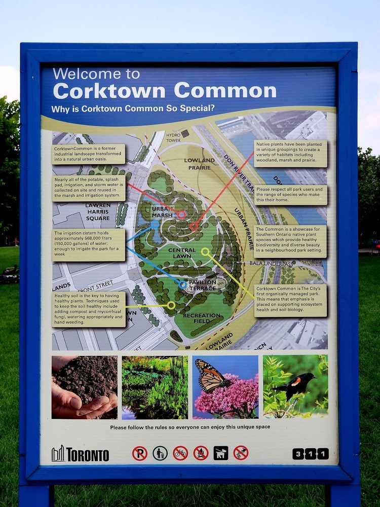 Corktown Common Image
