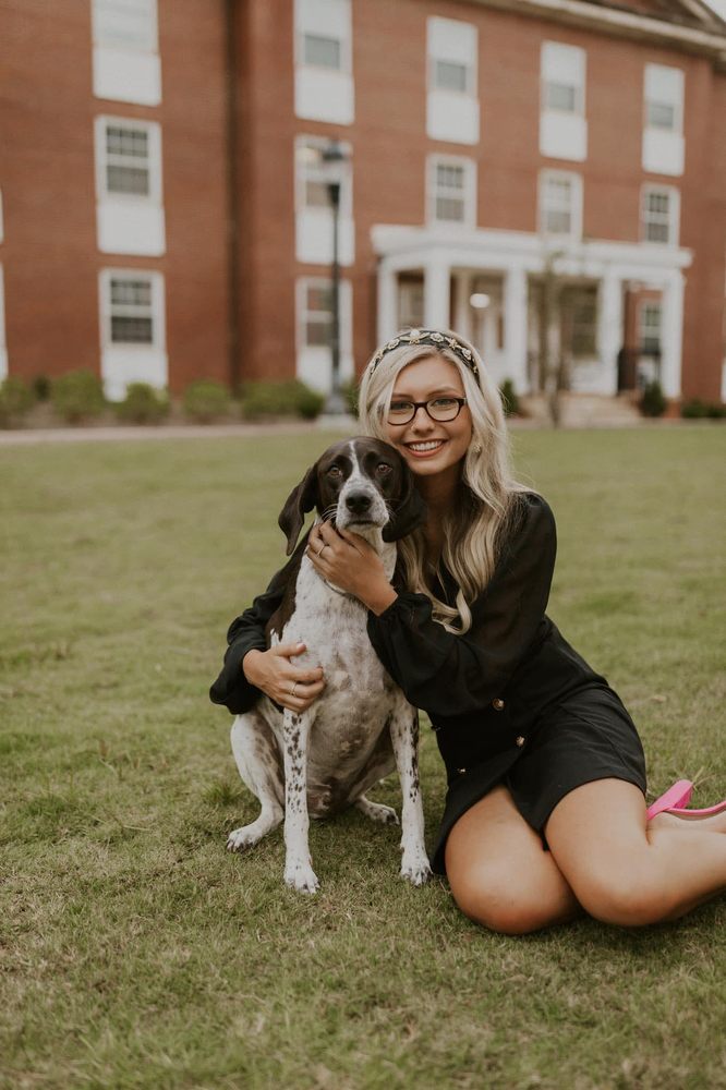 Hartwell Happy Hounds Image