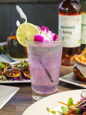 Jerry and The Mermaid by null