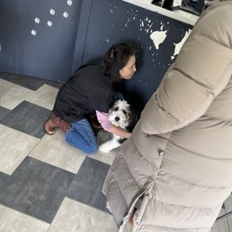 Great place to bring your pet to get groomed at!