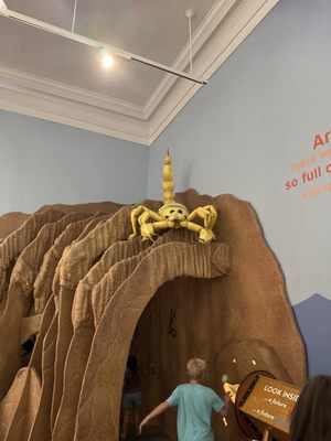 Children's Museum Tucson by null