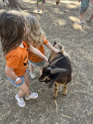Sweet Eats Adventure Farm & Petting Zoo by null