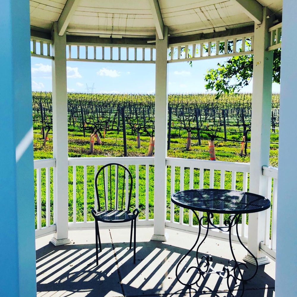 Feather River Winery - a view of the vineyard from the gazebo - Wineries Near Me - North Platte, Nebraska