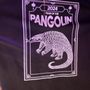 Photo of The Pangolin