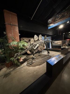 Houston Museum of Natural Science at Sugar Land by null