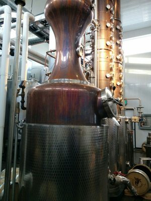 Black Fox Farm and Distillery - Premium Gin & Whisky by null