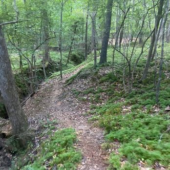 George Pierce Park - Parks Near Me - Suwanee, Georgia
