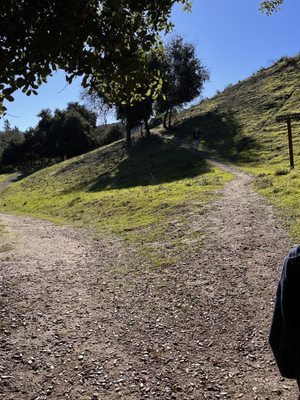 Hans Christian Andersen Park by null