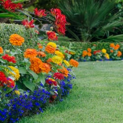 Almost Perfect Landscaping