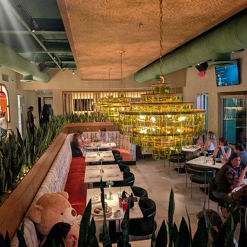 The Charlotte American Bistro - View downstairs - Bars Near Me - Dallas, Texas The Charlotte American Bistro - View downstairs - Bars Near Me - Dallas, Texas