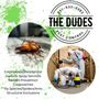 The Dudes