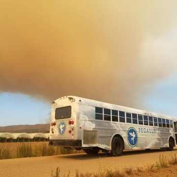 Pegasus Transit - Buses Near Me - Oxnard, California