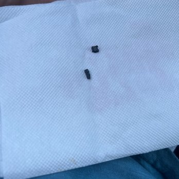 King Taco - Black plastic pieces that are a lot bigger but couldn't focus on it without getting blurred. - Mexican Near Me - Long Beach, California King Taco - Black plastic pieces that are a lot bigger but couldn't focus on it without getting blurred. - Mexican Near Me - Long Beach, California