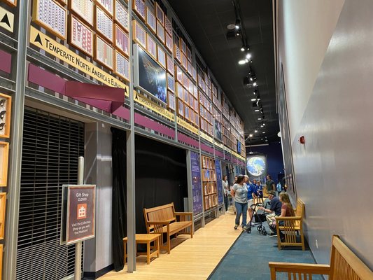 Florida Museum of Natural History by null