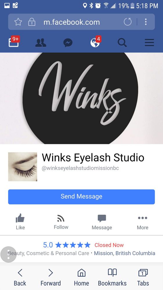 Winks Eyelash Studio Logo